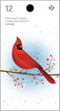Cardinal (Cardinalis cardinalis)
