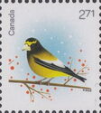 Evening Grosbeak (Coccothraustes vespertinus)
