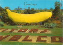 Coffs Harbour. The Big Banana