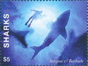 Sharks