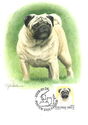 345. Pug (Canis lupus familiaris)