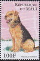 Airedale Terrier