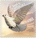 Cape Town 2022 Stamp Expo : Road To Democracy
