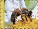 Honeybee (Apis sp.)