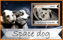 Dogs - Space dogs