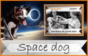 Dogs - Space dogs