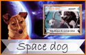 Dogs - Space dogs