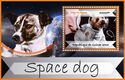 Dogs - Space dogs