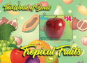 The World of Sweet Tropical Fruits