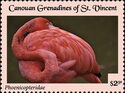 Phoenicopteridae