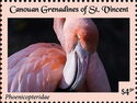 Phoenicopteridae