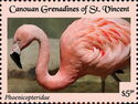 Phoenicopteridae