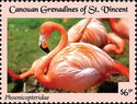 Phoenicopteridae