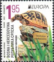 Hermann's Tortoise (Testudo hermanni)
