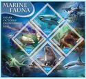 Marine Fauna