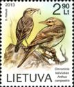 Tawny Pipit (Anthus campestris)