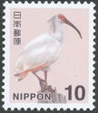 Japanese Crested Ibis (Nipponia Nippon)