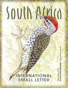 Woodpeckers of South Africa