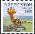 Eurasian Hoopoe (Upupa epops)