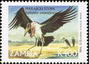 Marabou Stork (Leptoptilos crumeniferus)