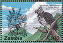 Harpy Eagle (Harpia harpyja)
