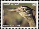 Arabian bustard (Ardeotis arabs)