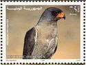 Dark chanting goshawk (Melierax metabates)