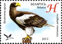 Steller’s Sea-eagle (Haliaeetus pelagicus)