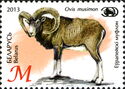 European Mouflon (Ovis orientalis musimon)