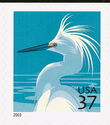 Snowy Egret (Egretta thula)