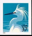 Snowy Egret (Egretta thula)