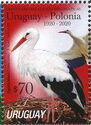 White Stork (Ciconia ciconia)