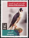 Peregrine Falcon (Falco peregrinus)