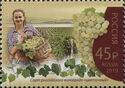 Russian Grape Variety - Floral