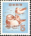 Mandarin Ducks (Aix Galericulata)