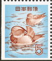 Mandarin Ducks (Aix Galericulata)