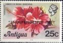 Hibiscus (Hibiscus rosa-sinensis) - Overprinted