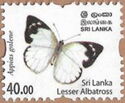 Sri Lanka Lesser Albatross (Appias galene)