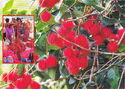 Rambutan