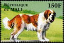 Saint Bernard