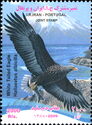 White-tailed Eagle (Haliaeetus albicilla)