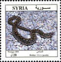 Javelin Sand Boa (Eryx jaculus) 