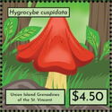 Hygrocybe cuspidata