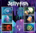 Jellyfish