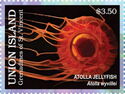 Atolla Jellyfish (Atolla wyvillei)