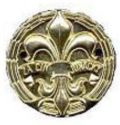 Badge of Honour "The act Scouts" Gold