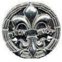 Badge of Honour "The act Scouts" Silver