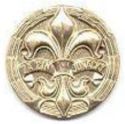 Badge of Honour "The act Scouts" Bronze