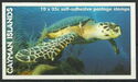 Hawksbill Turtle (Eretmochelys imbricata)