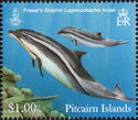 Fraser´s Dolphin (Lagenodelphis hosei)